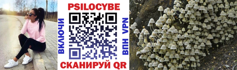 нарко площадка как зайти Петровск Псилоцибиновые грибы GOLDEN TEACHER OMG зеркало
